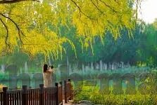 九游app旧版-九游app旧版，经典应用的回忆与体验